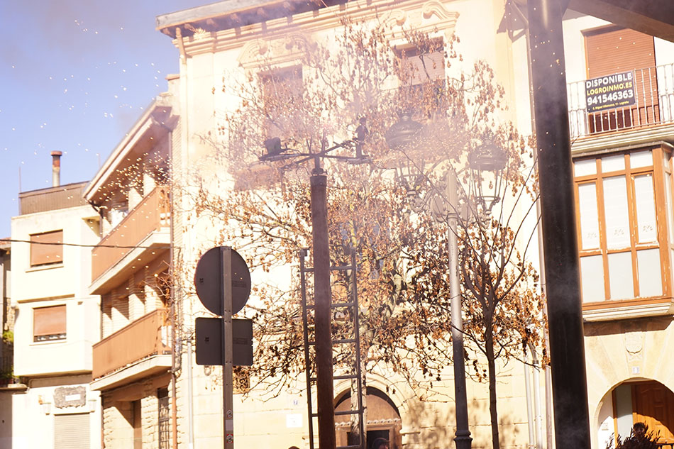 DSC09900