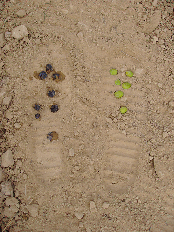 Aitor Val Arbea